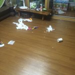 [드루와] 실시간ㅅㅂ