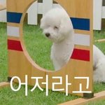 [EXO] 헬로우 에<b>이인</b>져어어얼