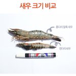 새우 크기의 <b>여파</b>로 엄마아빠가 따로주무신다. [사진有]