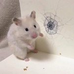 [시우민] 시우민: 응!기러기야(슈풍<b>당당</b>)