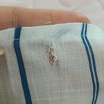 [개깊은빡침] 부산 덕천동 보세 옷집. <b>법대</b>로 하라, 신고 하라는 무개념...