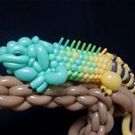 이게 다 <b>풍선</b>이야?