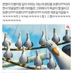 [방탄소년단] 아까본건뎈ㅋㅋㅋㅋㅋㅋㅋㅋ