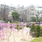 [댓글부탁해] 한국 VS 미국 대학교???