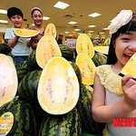 노란 <b>수박</b>이 그렇게 맛있다는데..
