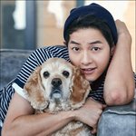 이젠 넘사벽 급 완얼 송중기