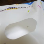 ××이 물티슈에서 이상한 초록색<b>날파리</b>나왔네요