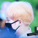 [EXO] 활동끝나면 머리 밀겠지