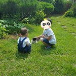 [고양이] [ 고<b>나비</b>] 골고루 사랑하시는 고나비씨
