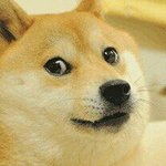 아__ 내 <b>생리혈</b>에서;