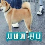 [드루와] 19)오늘학교에서 남자애가 옷벗고