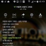 [세븐틴] 와진짜