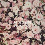 [추반] 커피우유스누피 vs 에너지<b>몬스터</b>