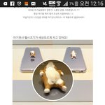 [댓글부탁해] 애들아 폰케이스 좀 봐줩