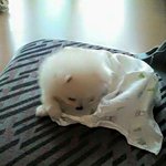 [인피니트] ㅅㄷ아 집에 내려왔는데