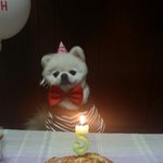 2013년11월5일 인천<b>대공원</b>에서 첫만남.