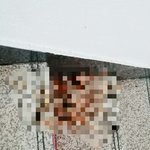 [어이상실] 무개념 <b>구토</b>남