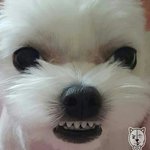 [댓글부탁해] 삼선신을때 <b>양말</b>신는거야???? 급해애ㅐㅇ