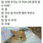 [방탄소년단] 이거넘 귀엽지않음??