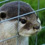 [댓글부탁해] <b>섀도</b> 추천좀!