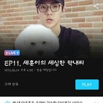 [세훈] 160618 V앱 <b>세심</b>한 막내씨 예고