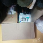 [드루와] 강아지가 생리대 박스에서 잠