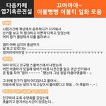 [댓글헌터] 이불뻥뻥~ 이불킥 일화모음 2탄 <댓글헌터 55>