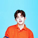 [세븐틴] ㅅㄷ 잠금화면