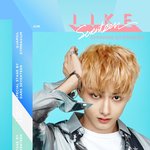 [세븐틴] ㅁㅍㅁㅊ떴다