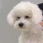 [EXO] 이번입덕도 티켓팅 <b>어질</b>나게 하겠지