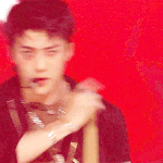 [EXO] 나어제 <b>수원</b>콘 갓는데 ㅜ 카메라찍히면티비에나옴?