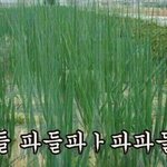 [급해ㅠㅠ] 고1인데 체육<b>수행</b> 중요해??