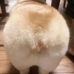 [댓글부탁해] <b>흥분</b>했어?가 야한말이야?