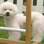 [EXO] 롸? <b>미방</b>