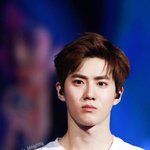 [EXO] 무슨 <b>얘기</b>하고 있어요 <b>엑소</b>엘들?