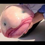 [모두드루와] 아미엑셀들아 들어와봐