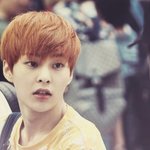 [시우민] ㅅㄷ) 아침에 오는 웅녀들 놀라지 말도록해