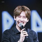 [EXO] 백현 <b>억지</b>눈웃음