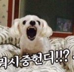 [EXO] ㅆㅂ 나 방금 내 인생 최대의 <b>수치심</b>