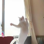 [공판] 나 완전 노답인데 2<b>주안</b>에 성적 올릴 수 있을까
