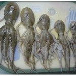 [EXO] 일동 차렷! 김민석 부모님께 <b>경례</b>!(티켓팅성공하자)