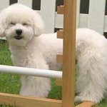 [EXO] 눈 <b>감고</b> 엑소 나오면 나 티켓팅 성공