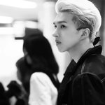 [VIXX] 본격 켄이목구비 자기<b>주장</b>짤털이