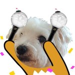[방탄소년단] 이삐들 나 궁금한게