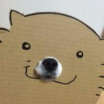 뉴빵 준회원 게시판에 강아지 사진 올렸다가 차단당함ㅇㅇ