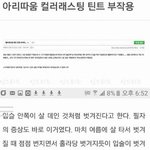 [댓글부탁해] 와 너네이거<b>봄</b>?? 컬러래스팅;;;;