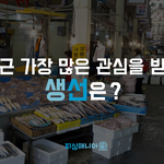 "최근 가장 많은 관심을 받은 생선은?"