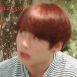 [방탄소년단] 전정국ㅋㅋㅋㅋ 고양이설