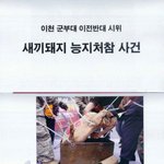 [꼭봐주세요] 동물학대 폭력 시위