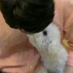 [세훈] <b>장래</b>희망 : 오비비